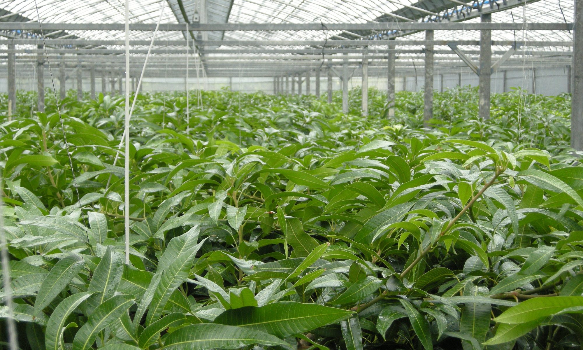 Agri Manager